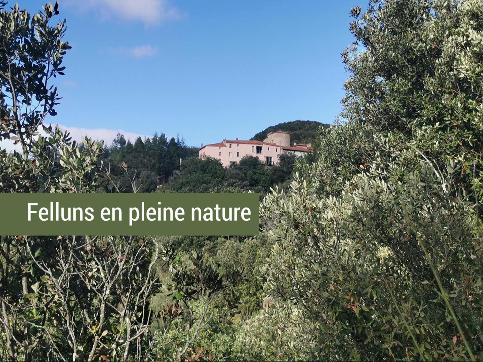 Pyrenees Mon Amour Felluns Екстериор снимка