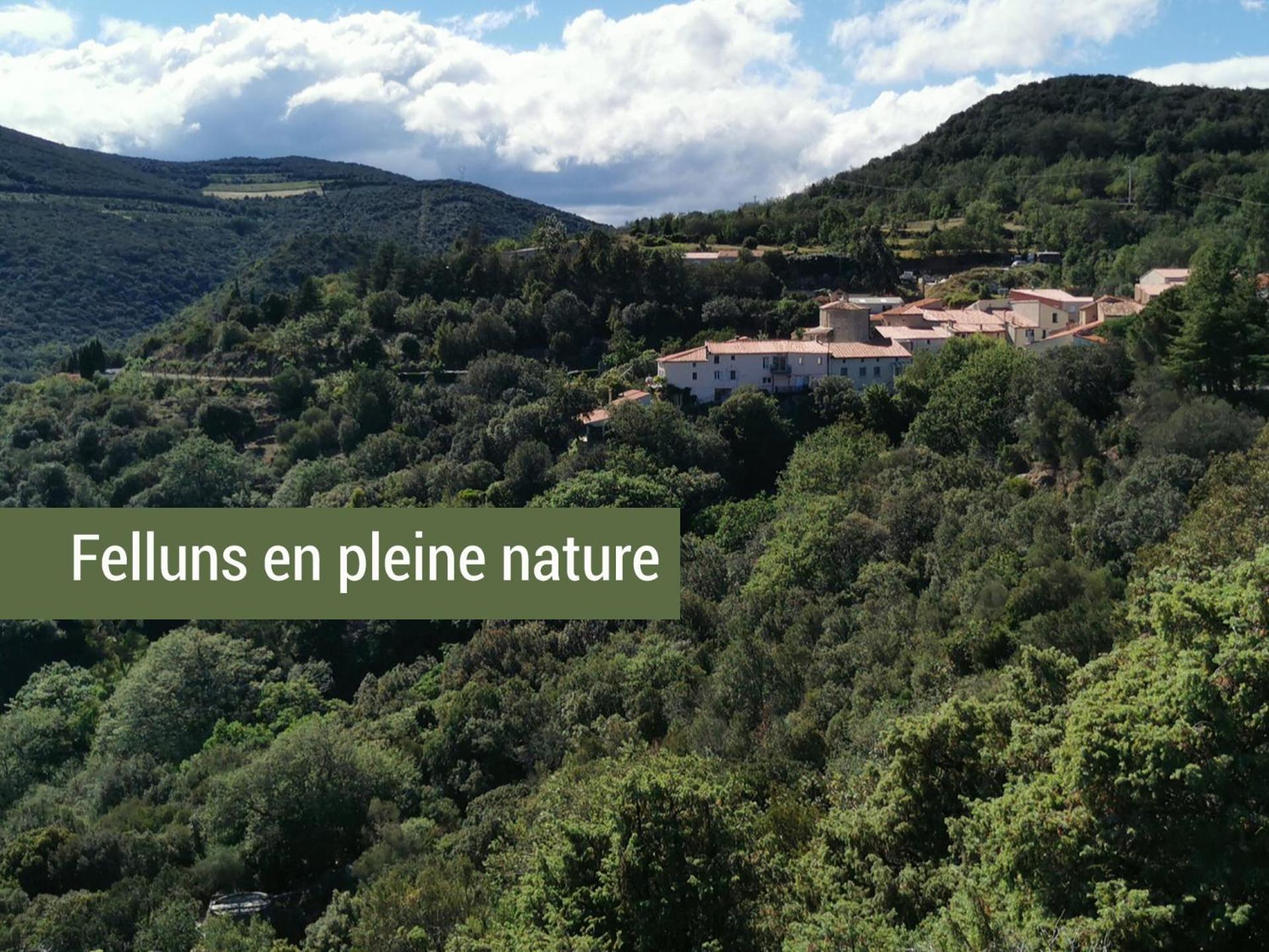 Pyrenees Mon Amour Felluns Екстериор снимка